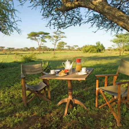 Ikoma Tented Camp Hotels in Serengeti