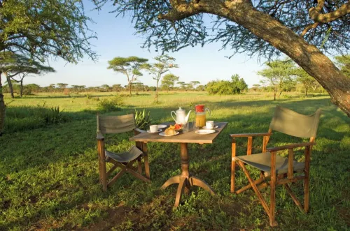 Ikoma Tented Camp - Homestays
