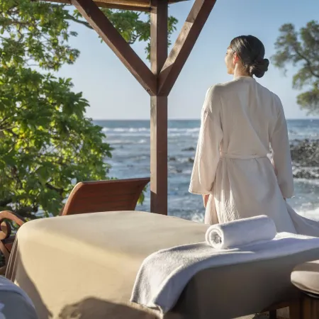 Fairmont Orchid