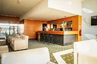 VIP Executive Santa Iria Hotel - bar