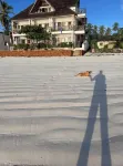 The View of Zanzibar - 2-Star