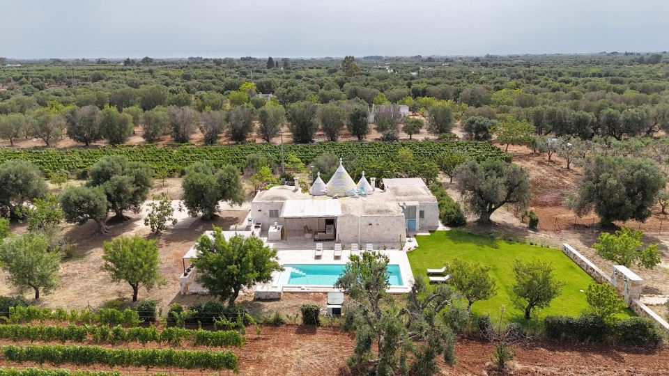TD Trullo Titiro Vineyard Wine Cellar Pool