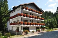Pensiunea Anotimpuri - balcony
