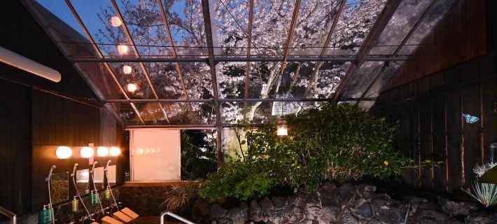 Hot spring inn Ryofuso　Mie prefecture Отели в г. Цу