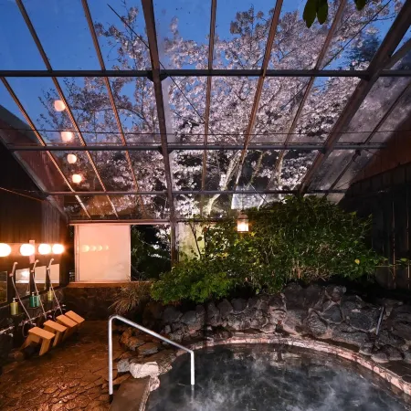 Hot spring inn Ryofuso Mie prefecture