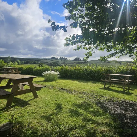 The Hedgerow Kilshanny