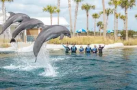 WoodSpring Suites Fort Walton Beach - Eglin AFB - Beach