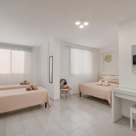 Domo de Centro, Centro di Olbia