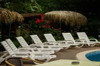 Hotel Perunika - Pool