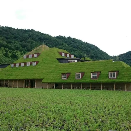 Urban Hotel Kusatsu