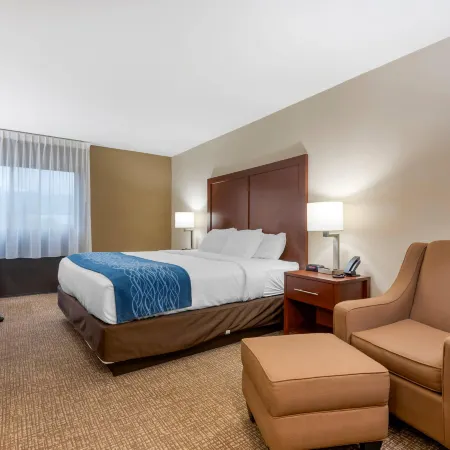 Comfort Inn Binghamton I-81 Hotels in Chenango