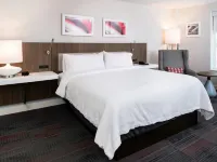 Hilton Garden Inn Columbia Downtown Hotels near Never Bust Chain