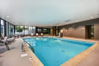 Hampton Inn I-75 Lexington/Hamburg Area - Swimmingpools