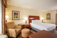 Hilton Garden Inn El Paso / University - Kuntosalit