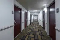 Red Roof Inn Raleigh - North-Crabtree Mall/Lenovo Center - Parkering