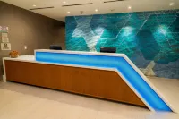 紐瓦克弗裏蒙特SpringHill Suites酒店 - 停車場