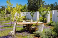 TD Villa Antonia - Hidden Citrus Retreat - Villas