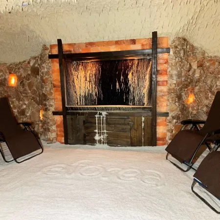 Embassy Suites San Antonio Brooks Hotel & Spa