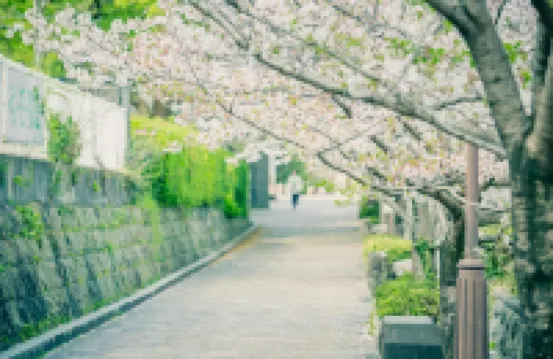 A  M Flower Garden