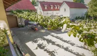 Weingut Knauer Hotels in Schwarzach am Main