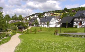 Hotel & Gasthof Hubertushohe - Ihr Hotel Fur Urlaub Mit Hund