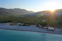 Ferienwohnung "ulivo" Mit Pool Und Privatstrand