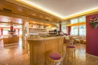 Hotel Villa Rosella Park & Wellness - bar