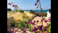 Seaview Apartment Esentepe Northern Cyprus - 2 ดาว