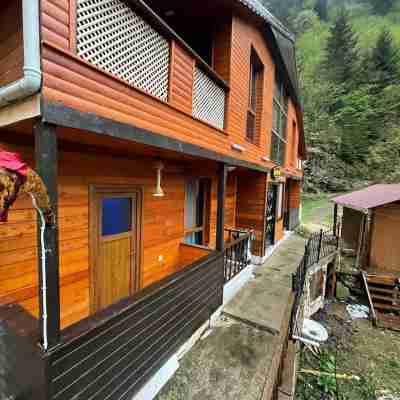 Uzungol Family Rooms #6 Hotel Exterior