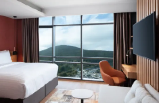 Residence Inn Istanbul Atasehir