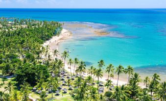 aerial view of a beautiful beach with palm trees and a hotel in the distance at Tivoli Ecoresort Praia do Forte