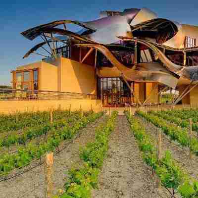 Hotel Marqués de Riscal, a Luxury Collection Hotel, Elciego Hotel Exterior