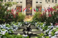 Renaissance New York Chelsea Hotel Các khách sạn ở Chelsea