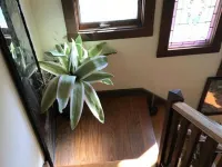 Gardenview Bed and Breakfast - Bãi biển
