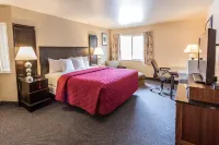 Cedars Inn Hotels near Pybus Public Market