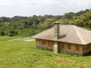 Castle Forest Lodge