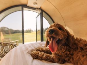 Forth Mountain Glamping