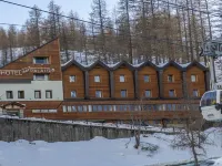 Hotel Petit Palais Hotels in Valtournenche