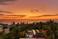 Hôtel Villa les Orchidées - Ocean View