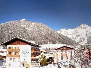 Gut Wenghof - Family Resort Werfenweng