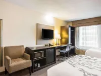 Quality Inn Kansas City International Airport Hotels in May Township