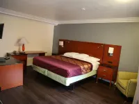 Chateau Inn & Suites Hotels in Downey