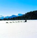 Koselig Hytte I Hemsedal