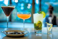 Hotel Bulgaria - bar