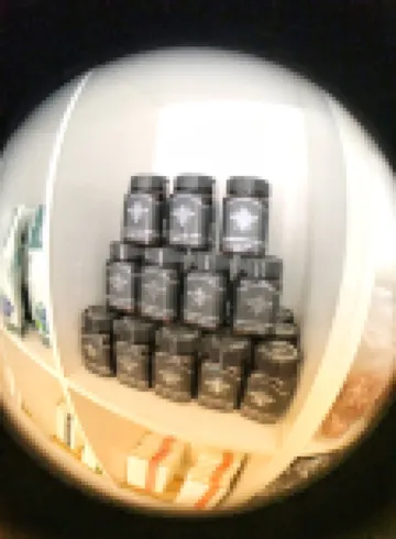 四季予你客棧（長白山西景區遊客中心店）