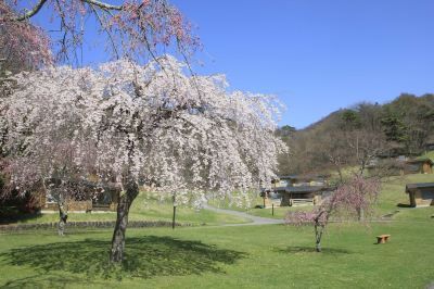 庭 軽井沢プリンスホテル ウエストの写真