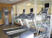 Hilton Garden Inn Addison - salle de sport