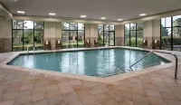 Hampton Inn Ann Arbor-South - Pools