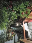 B&B Daddanca Hotels in Laconi