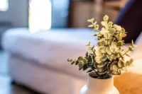 Le Shack - Freycinet Holiday Houses